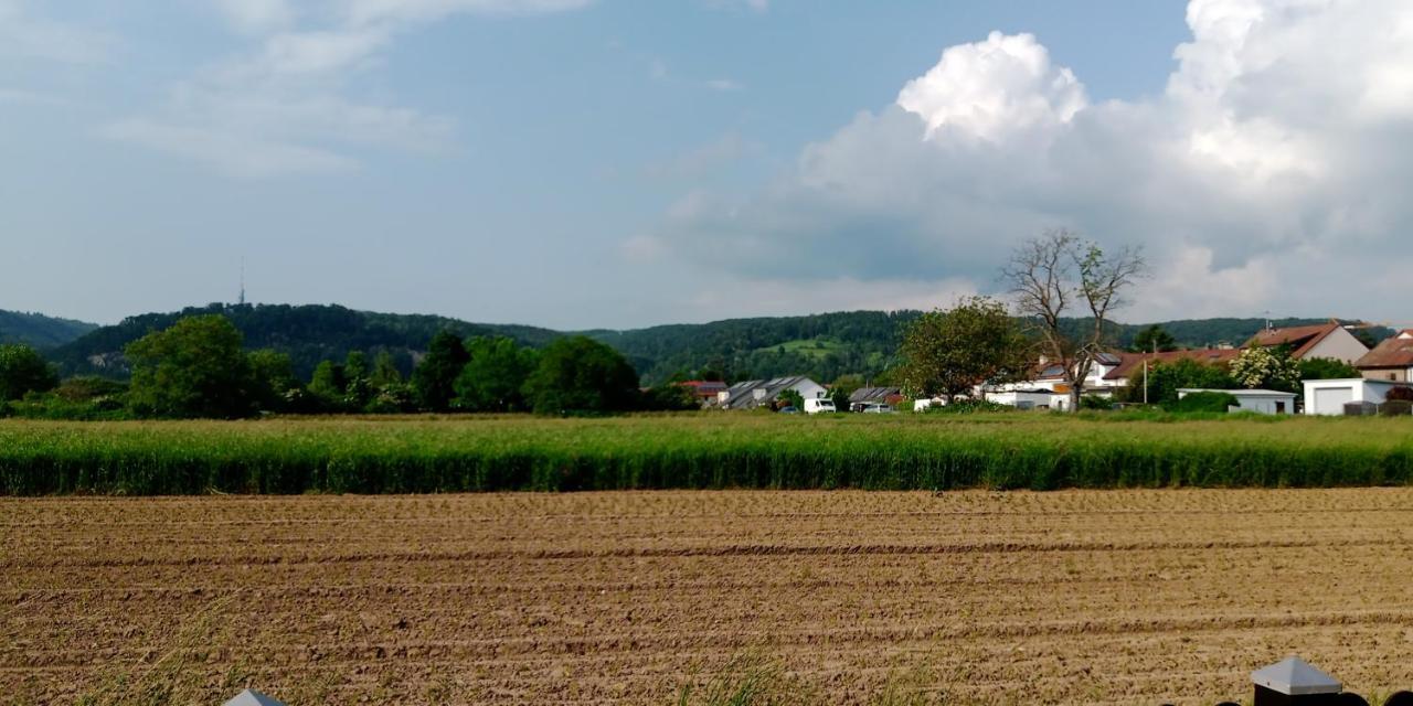 Ferienwohnung In Grenzach Zewnętrze zdjęcie